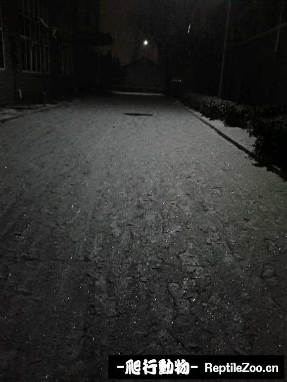display_picture.php?url=http%3A%2F%2Fimgsa.baidu.com%2Fforum%2Fw%253D580%2Fsign%3D1d6ad840d52a283443a636036bb4c92e%2Fe2e6db39b6003af347b4143d342ac65c1038b613.jpg