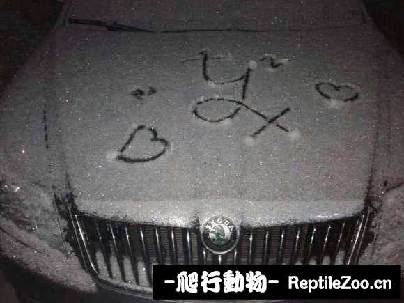 display_picture.php?url=http%3A%2F%2Fimgsa.baidu.com%2Fforum%2Fw%253D580%2Fsign%3D1cf2bd59960a304e5222a0f2e1c9a7c3%2Fab0b6909c93d70cfda2a6350f9dcd100bba12b55.jpg