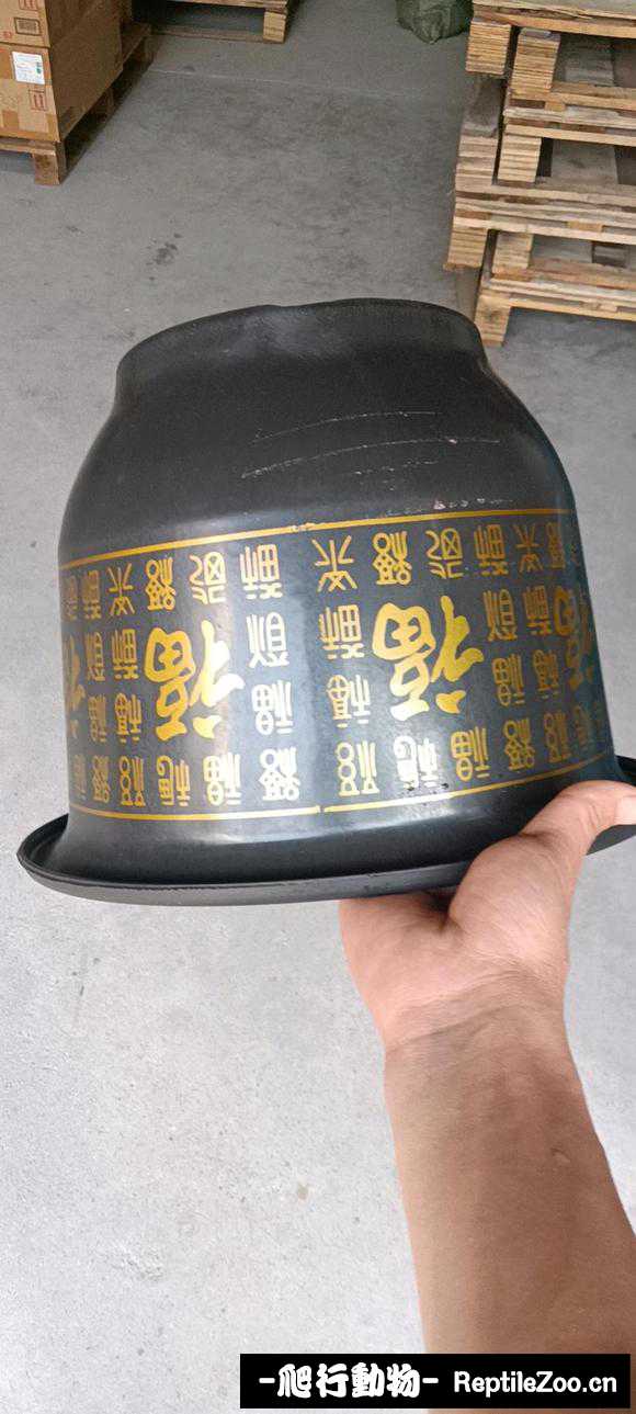163529mi79xl5fxqlornhr.jpg