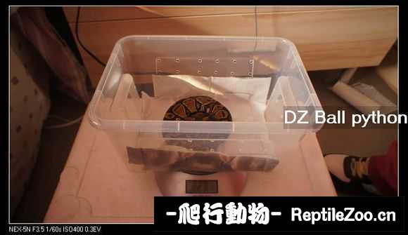 display_picture.php?url=http%3A%2F%2Fimgsa.baidu.com%2Fforum%2Fw%253D580%2Fsign%3D9888451a8db1cb133e693c1bed5556da%2F053cbdde9c82d158609f7744800a19d8bd3e42df.jpg