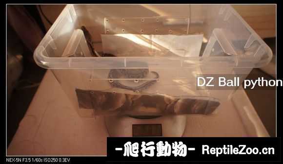 display_picture.php?url=http%3A%2F%2Fimgsa.baidu.com%2Fforum%2Fw%253D580%2Fsign%3D628db494f3deb48ffb69a1d6c01e3aef%2F34cb9725bc315c60abdf451a8db1cb13485477b6.jpg