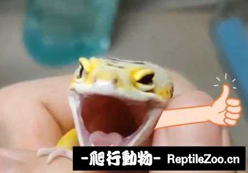 164517cdbuds14c38uubbp.jpg