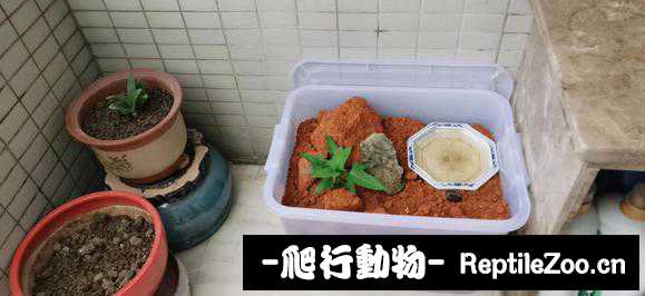 165008hwgosi9whwmm00qt.jpg