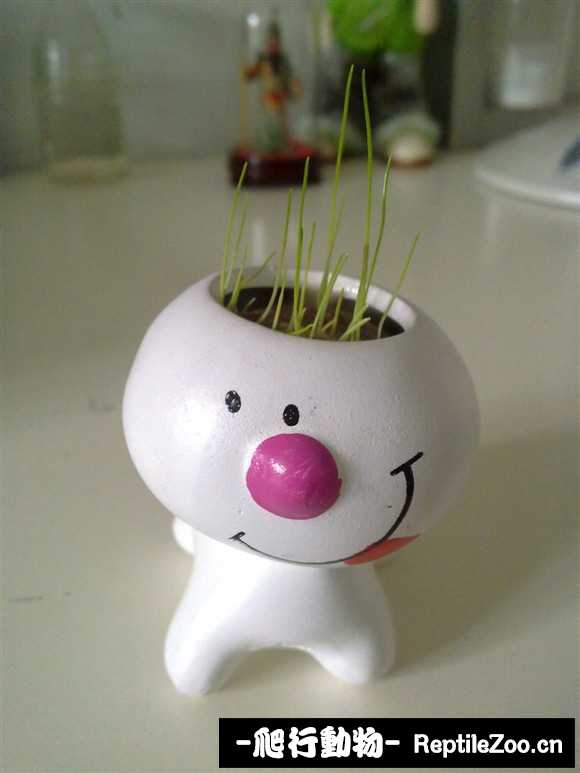 display_picture.php?url=http%3A%2F%2Fimgsa.baidu.com%2Fforum%2Fw%253D580%2Fsign%3D182ebf2c76094b36db921be593cd7c00%2Fd5dc3701213fb80e526f202436d12f2eb83894b8.jpg