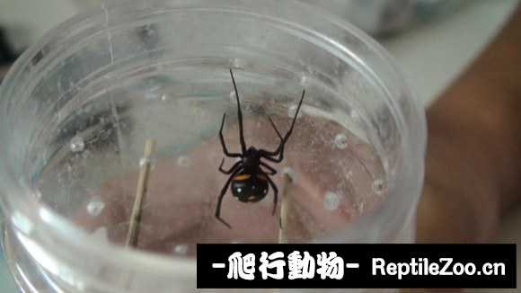 display_picture.php?url=http%3A%2F%2Fimgsa.baidu.com%2Fforum%2Fw%253D580%2Fsign%3D83fa1413f703918fd7d13dc2613f264b%2Fe9585bfbb2fb43168dff398920a4462308f7d313.jpg