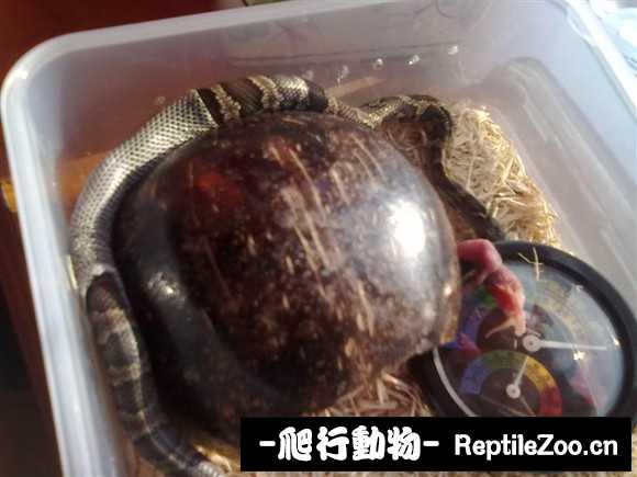 display_picture.php?url=http%3A%2F%2Fimgsa.baidu.com%2Fforum%2Fw%253D580%2Fsign%3D37a8603f828ba61edfeec827713597cc%2Ff12a9bcad1c8a7864f8a2cfb6709c93d71cf505c.jpg