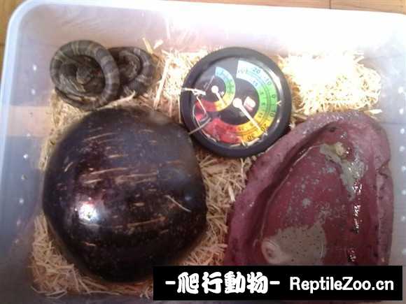 display_picture.php?url=http%3A%2F%2Fimgsa.baidu.com%2Fforum%2Fw%253D580%2Fsign%3D115dfa298a13632715edc23ba18ea056%2F8508289759ee3d6d5579e13e43166d224e4adeb9.jpg