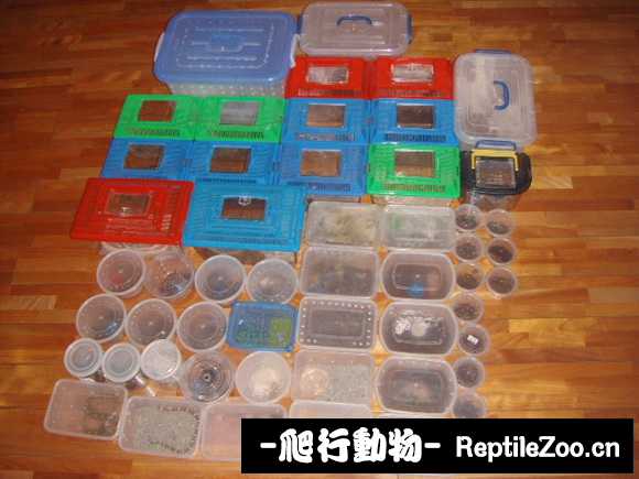 display_picture.php?url=http%3A%2F%2Fimgsa.baidu.com%2Fforum%2Fw%253D580%2Fsign%3Ddb675a9b103853438ccf8729a312b01f%2Fb10d02d7912397dd4f0931f35982b2b7d1a2878f.jpg