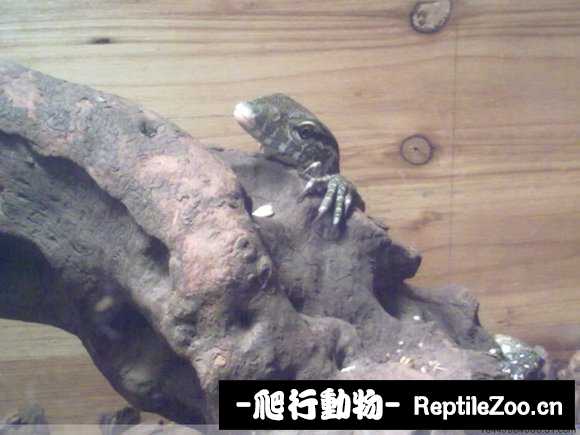 display_picture.php?url=http%3A%2F%2Fimgsa.baidu.com%2Fforum%2Fw%253D580%2Fsign%3D39921d361bd5ad6eaaf964e2b1ca39a3%2F8653de160924ab187ca2c7c535fae6cd7a890b45.jpg
