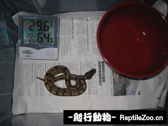 display_picture.php?url=http%3A%2F%2Fimgsa.baidu.com%2Fforum%2Fw%253D580%2Fsign%3D737d7d929822720e7bcee2f24bca0a3a%2F6a3c6563f6246b6076b96a84ebf81a4c500fa245.jpg