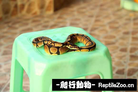 display_picture.php?url=http%3A%2F%2Fimgsa.baidu.com%2Fforum%2Fw%253D580%2Fsign%3D04eb79730f2442a7ae0efdade142ad95%2Fa7c58c025aafa40fd1418d2dab64034f79f01974.jpg