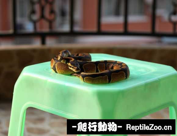 display_picture.php?url=http%3A%2F%2Fimgsa.baidu.com%2Fforum%2Fw%253D580%2Fsign%3D0f9c8ed98618367aad897fd51e718b68%2F5334af8b87d6277f21e271c828381f30e824fc00.jpg