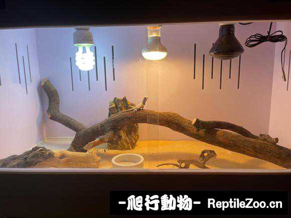 144011dqb11rjqoypqz174.jpg