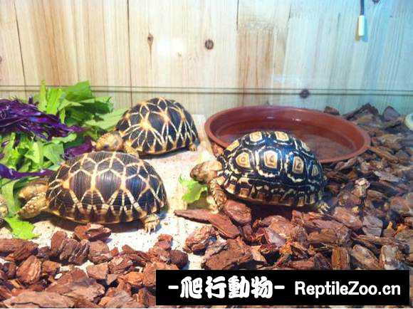 display_picture.php?url=http%3A%2F%2Fimgsa.baidu.com%2Fforum%2Fw%253D580%2Fsign%3Db5f80e642edda3cc0be4b82831eb3905%2F6c3b75ec54e736d1d1e01bf39b504fc2d4626914.jpg