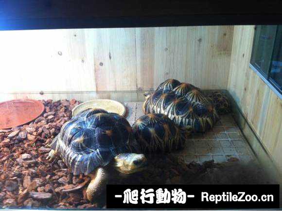 display_picture.php?url=http%3A%2F%2Fimgsa.baidu.com%2Fforum%2Fw%253D580%2Fsign%3D117dfc148db1cb133e693c1bed5656da%2F053cbdde9c82d158e96ace4a800a19d8bd3e4212.jpg