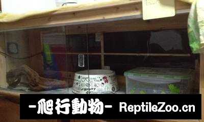 display_picture.php?url=http%3A%2F%2Fimgsa.baidu.com%2Fzhangbai%2Fpic%2Fitem%2F4034970a304e251fbb645866a786c9177e3e5398.jpg