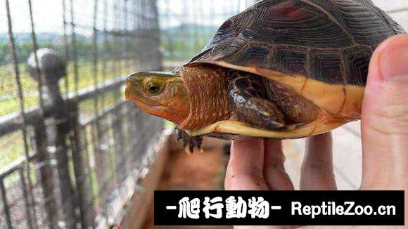 013503fgowgdzydqwqwbw3.jpg