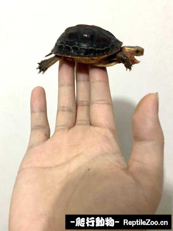 220038ybbb80d88bdjid3d.jpg