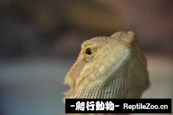220459c00zp9cnzx7ndxbn.jpg