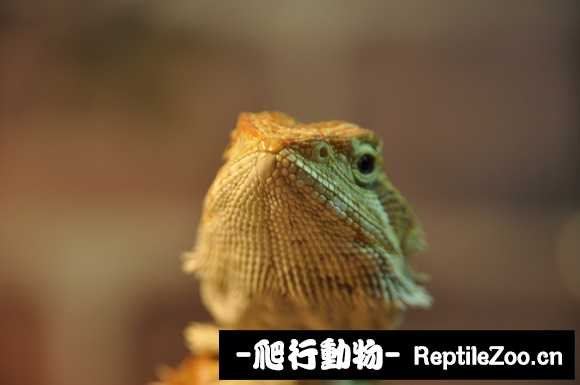 220504i3ndrfr29dbf2d2e.jpg