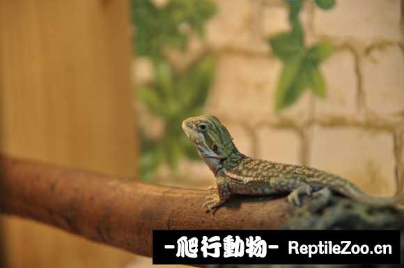 220509oteuqzee5121b5ml.jpg