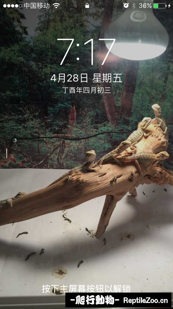 220514ouv00enx2ep0zggu.jpg