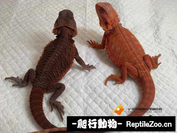 221305r9hiif97fyaiephz.jpg