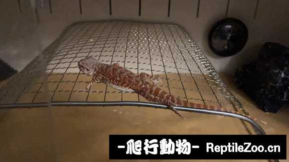 221358of4cukuukn3ff93f.jpg
