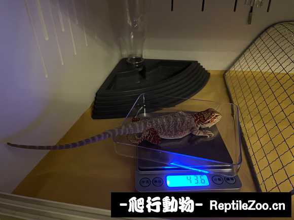 221434kw1177f8lqn44f8w.jpg