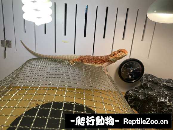 221441oz5ubk1gblgu760u.jpg