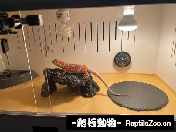 221448xwpkxwr9pwiuniiw.jpg