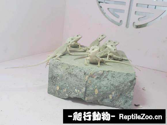 221502a9q0nh3inurr3evu.jpg