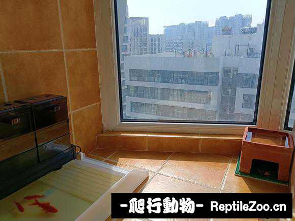 222657qrqw45kdctneryod.jpg