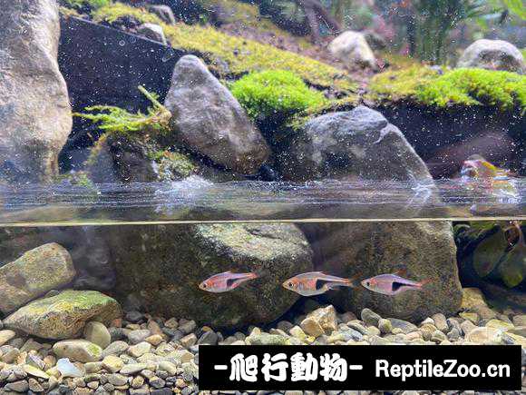 222710k4ifzkkfqkwp6ff6.jpg
