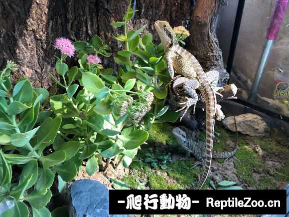 223246l6q66wr463ud6sor.jpg