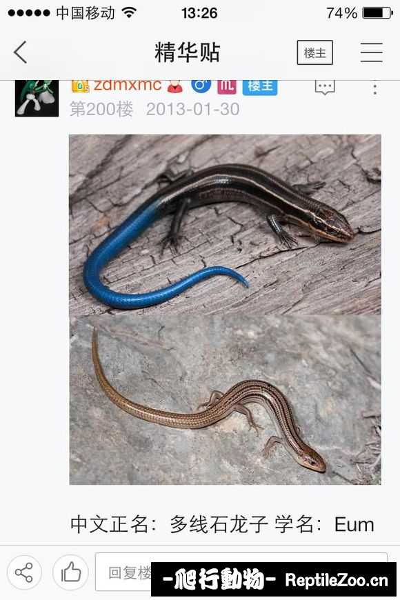 224038b9c4kwc1qjceprkj.jpg