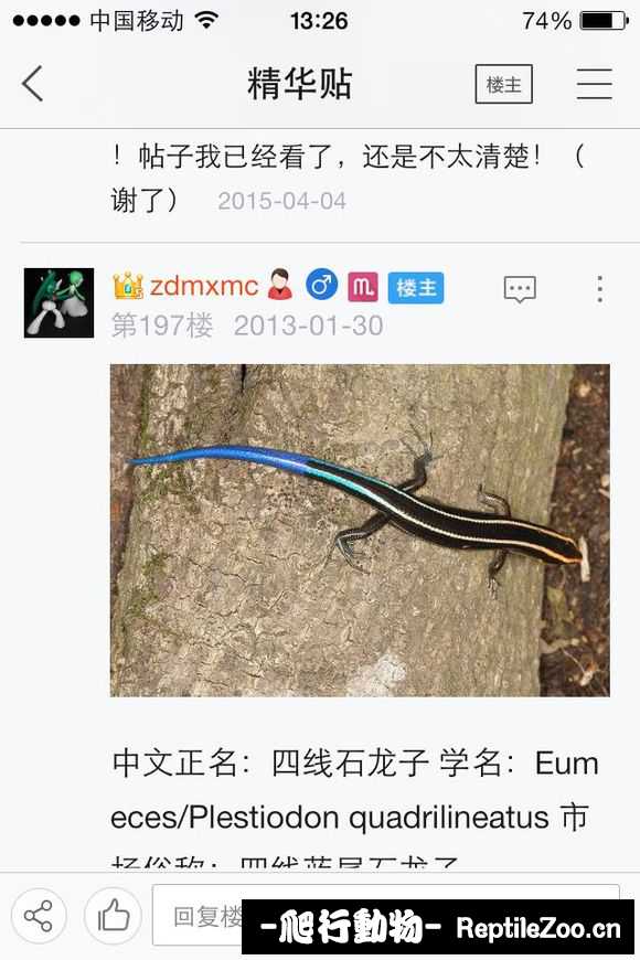 224040onz3sngjb4znmm86.jpg