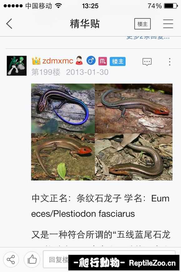 224042kpoap8ccposo8paa.jpg