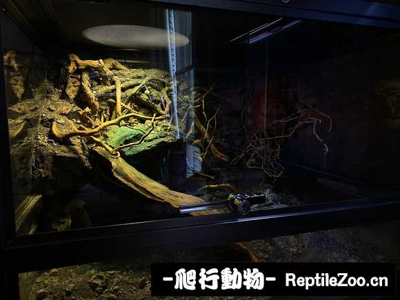 224214sbgb2eaayebgud1h.jpg