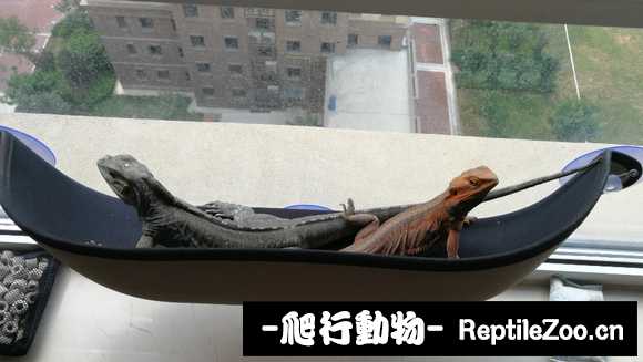 224252nammaskmohkpkisd.jpg