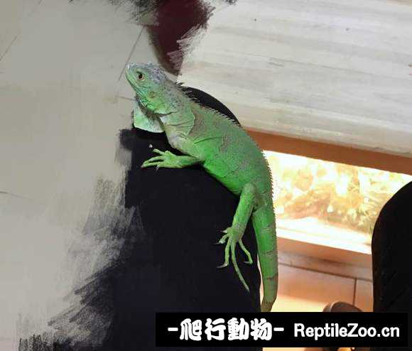 225526u6n49h2hn46qt46l.jpg
