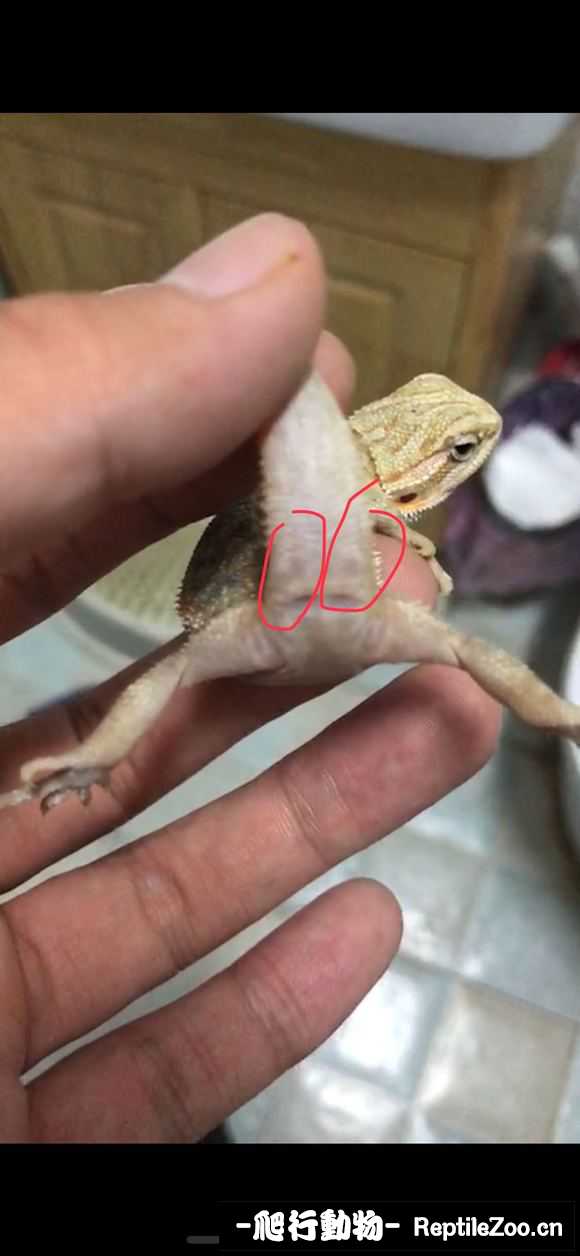 225605ydt46euomvc4opnm.jpg