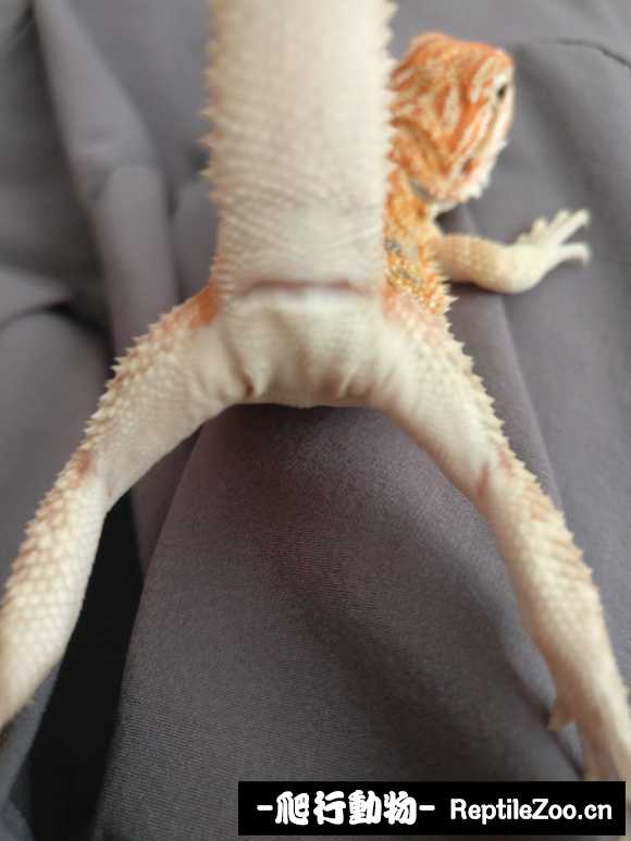 225610wdnitt6oztt7d0j0.jpg