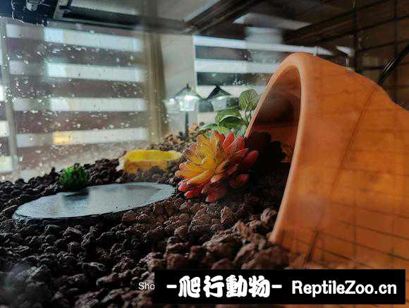 230023cg8iv55fq5u85kmm.jpg