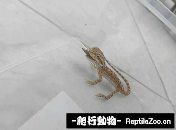 230422tpdfv8mdprv71crw.jpg