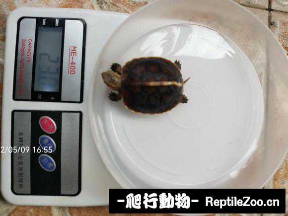 230542dqhqcqevqnqnqx2b.jpg