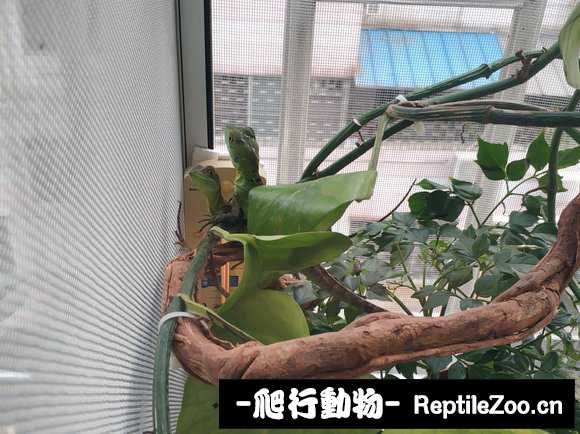 105504olgobgrh2zphoju2.jpg