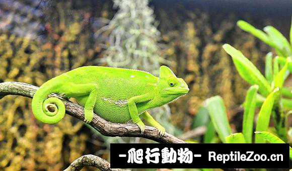 110504sly6kkmx6646n9l6.jpg