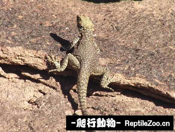 display_picture.php?url=http%3A%2F%2Fimgsa.baidu.com%2Fforum%2Fw%253D580%2Fsign%3D4b57731eb151f819f1250342eab44a76%2Ffbabd4160924ab18e56e140234fae6cd7a890bdc.jpg