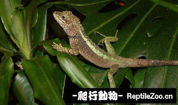 display_picture.php?url=http%3A%2F%2Fimgsa.baidu.com%2Fforum%2Fw%253D580%2Fsign%3Ddbe636216a600c33f079dec02a4d5134%2Fb6fded24b899a901fc8dae031c950a7b0308f59d.jpg